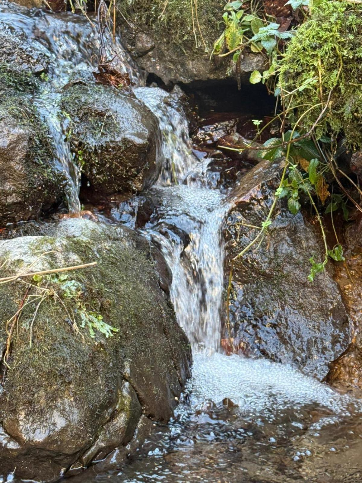 Apartamentos El Caxigu Arenas De Cabrales Dış mekan fotoğraf