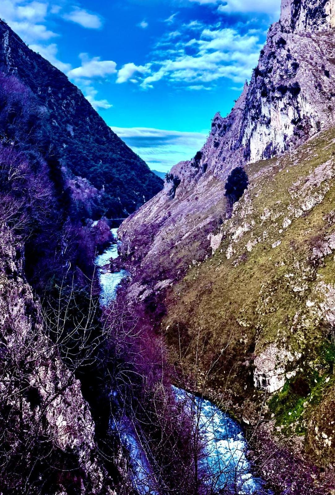 Apartamentos El Caxigu Arenas De Cabrales Dış mekan fotoğraf
